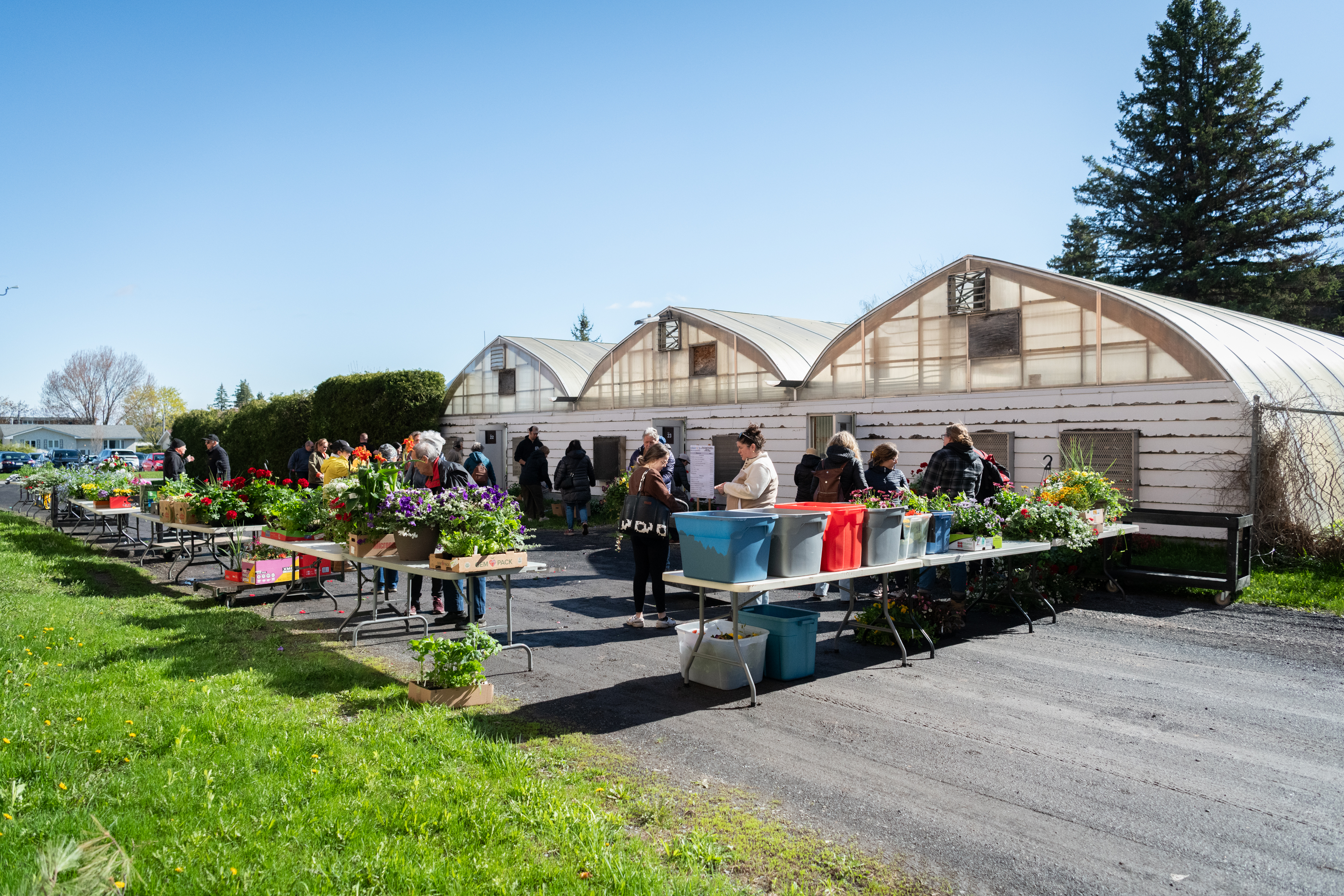 Vente de fleurs GTEA 2026