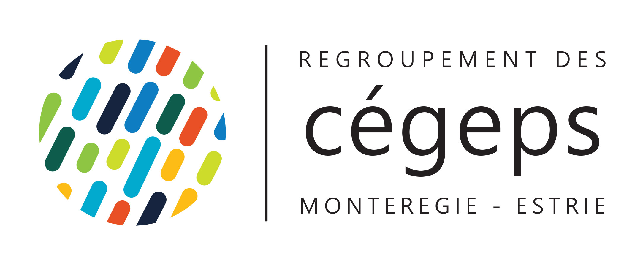 Logo RCME