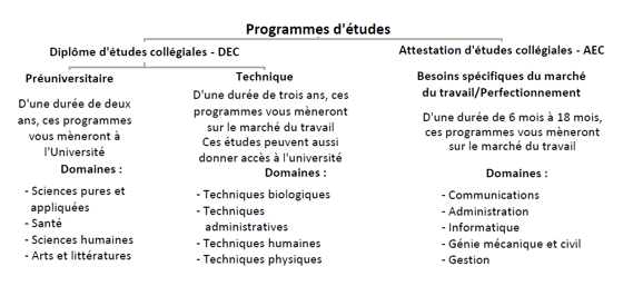 Éducation : Femaf présente les opportunités d'études à l'étranger