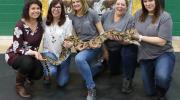 zoo reptiles, cégep saint-jean-sur-richelieu, soins infirmiers