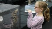 Zoo_reptiles_Cégep_Saint-Jean-sur-Richelieu_soins_infirmiers