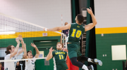 VolleyballMasculin