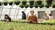 cégep_saint_jean_vente_fleurs_plantes_mai_2021_étudiants