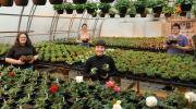 Vente fleurs 2022