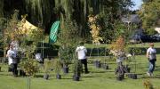 Plantation_arbres_3