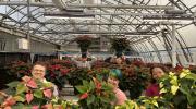 VentePoinsettias_2023