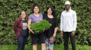 Le Département de gestion et technologies d’entreprises agricole (GTEA) remet pour 2 500$ de plants maraîchers à des organismes communautaires de la région