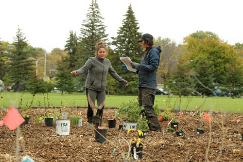 Une toute nouvelle forêt nourricière pour le Cégep Saint-Jean-sur-Richelieu