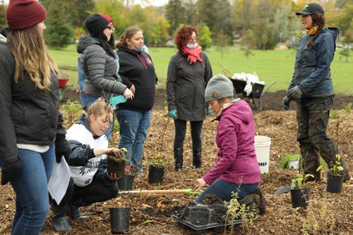 Une toute nouvelle forêt nourricière pour le Cégep Saint-Jean-sur-Richelieu