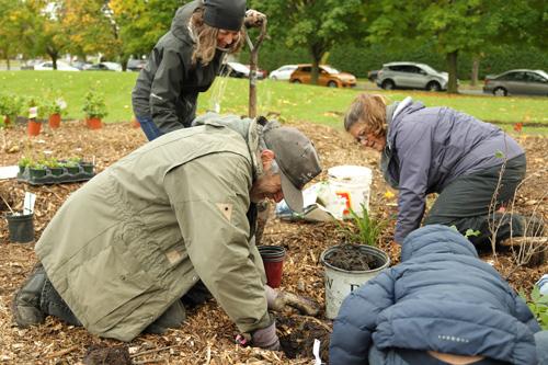 Une toute nouvelle forêt nourricière pour le Cégep Saint-Jean-sur-Richelieu