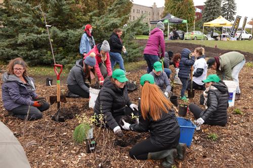 Une toute nouvelle forêt nourricière pour le Cégep Saint-Jean-sur-Richelieu