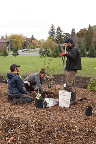 Une toute nouvelle forêt nourricière pour le Cégep Saint-Jean-sur-Richelieu