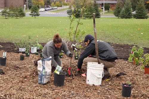 Une toute nouvelle forêt nourricière pour le Cégep Saint-Jean-sur-Richelieu