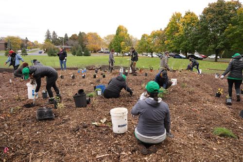 Une toute nouvelle forêt nourricière pour le Cégep Saint-Jean-sur-Richelieu