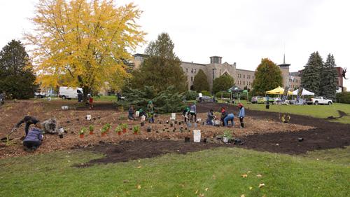 Une toute nouvelle forêt nourricière pour le Cégep Saint-Jean-sur-Richelieu