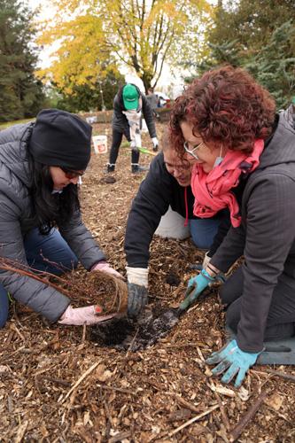 Une toute nouvelle forêt nourricière pour le Cégep Saint-Jean-sur-Richelieu