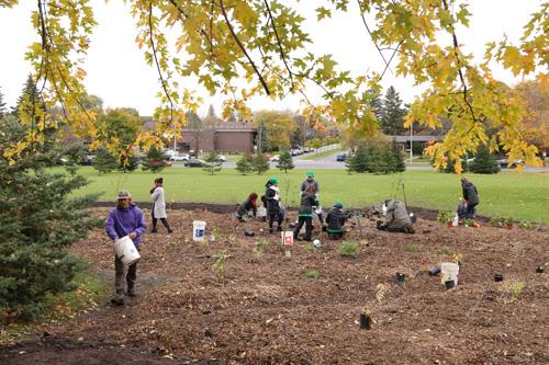 Une toute nouvelle forêt nourricière pour le Cégep Saint-Jean-sur-Richelieu