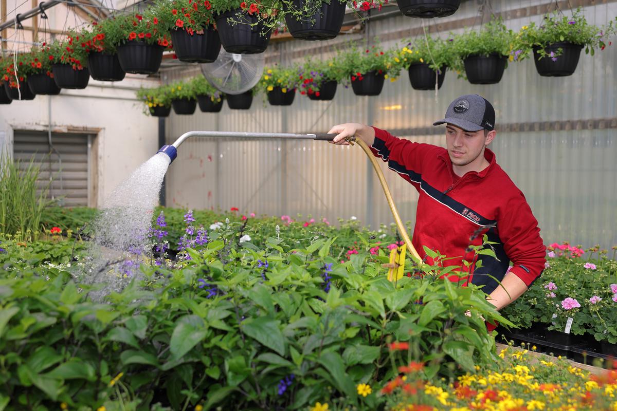 Un étudiant arrose les fleurs avec les techniques enseignées au programme.