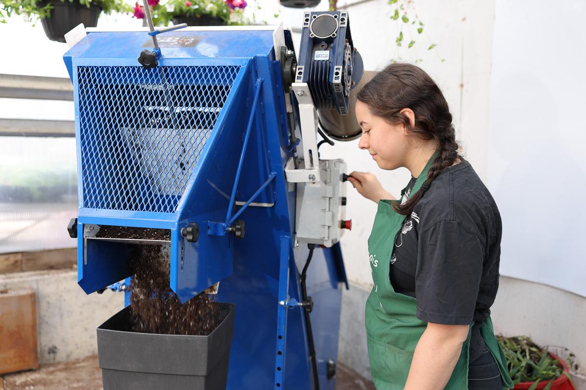 Mélangeur à terre : une étudiante remplie les pots qui serviront aux arrangements floraux.