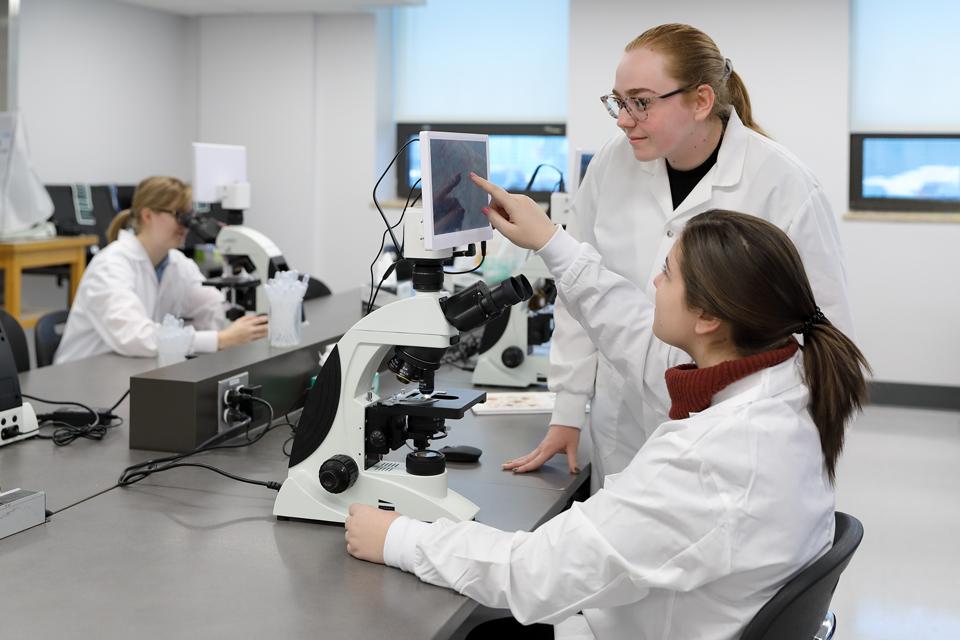 Étudiants en laboratoire