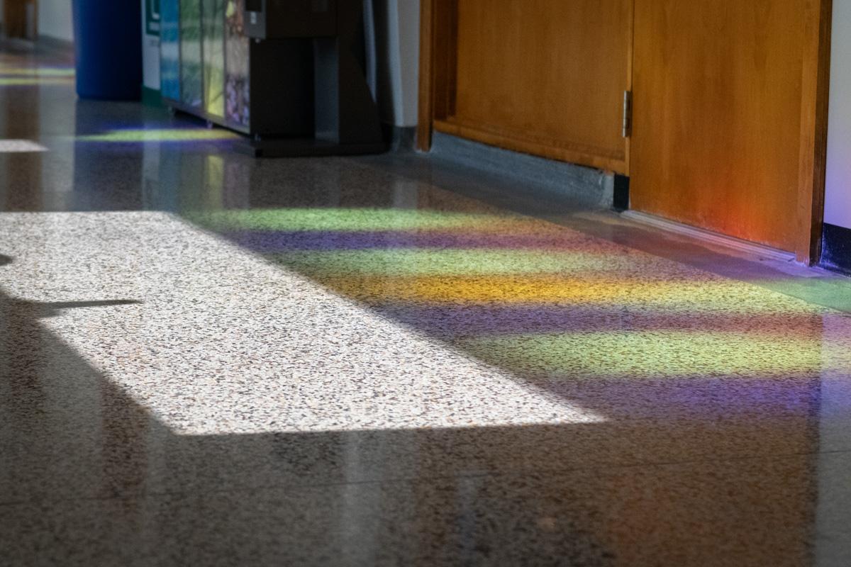 Revitalisation du terrazzo (A-100)