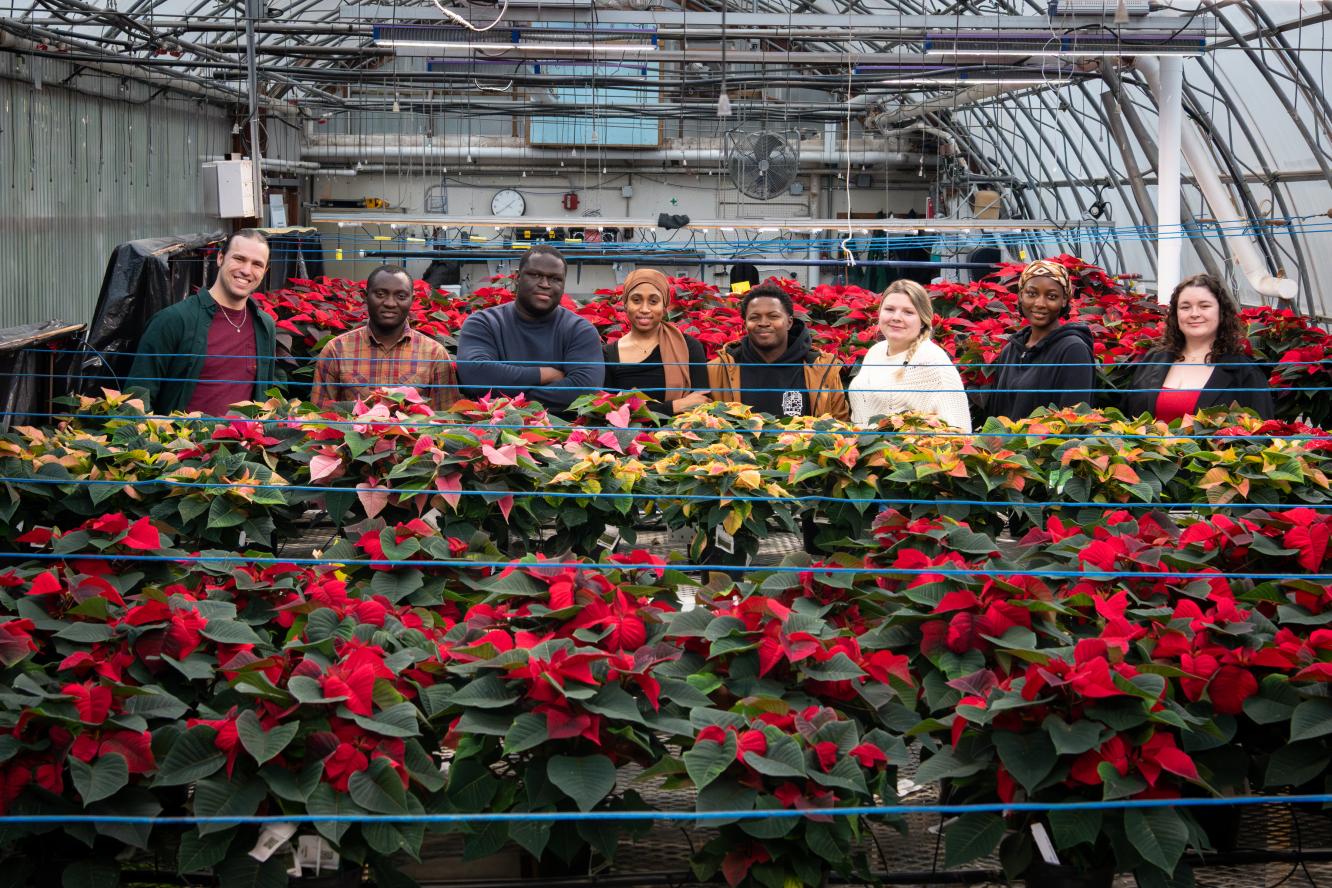 Poinsettias 2025 - Gestion et technologies d'entreprise agricole