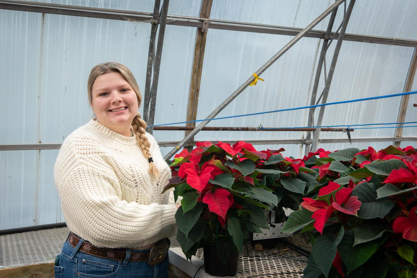 Poinsettias 2025 - Gestion et technologies d'entreprise agricole