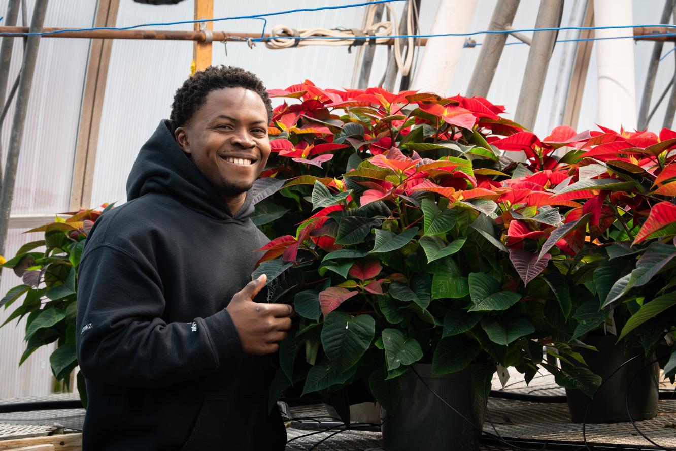 Poinsettias 2025 - Gestion et technologies d'entreprise agricole
