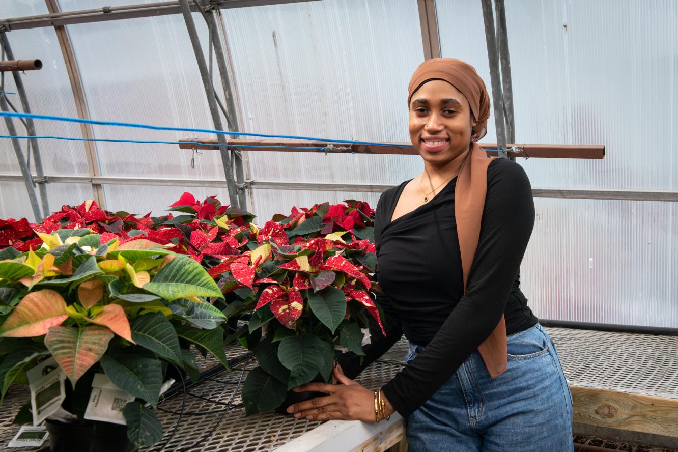 Poinsettias 2025 - Gestion et technologies d'entreprise agricole