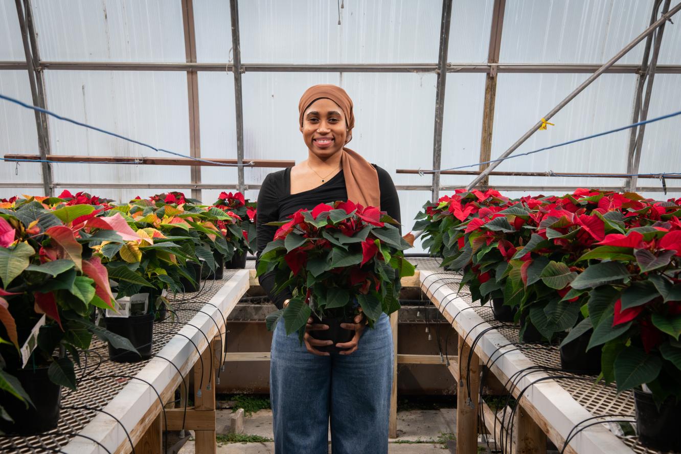Poinsettias 2025 - Gestion et technologies d'entreprise agricole
