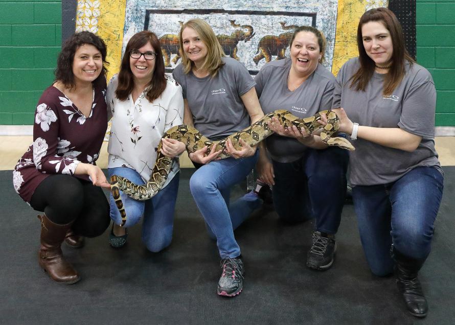 zoo reptiles, cégep saint-jean-sur-richelieu, soins infirmiers