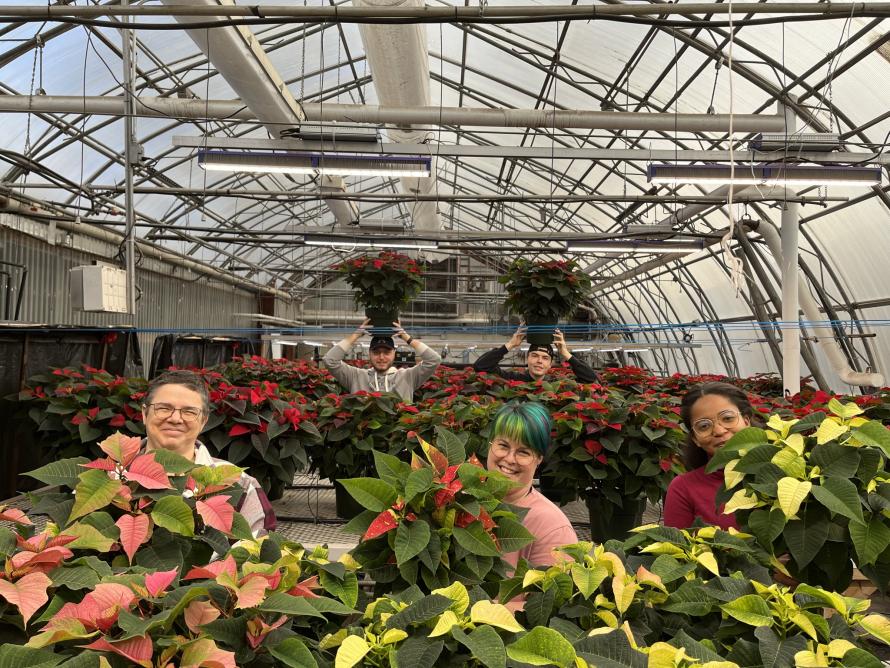 VentePoinsettias_2023