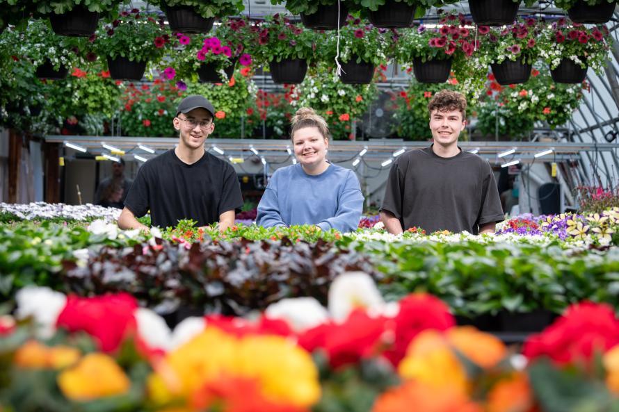 Vente de fleurs GTEA 2025