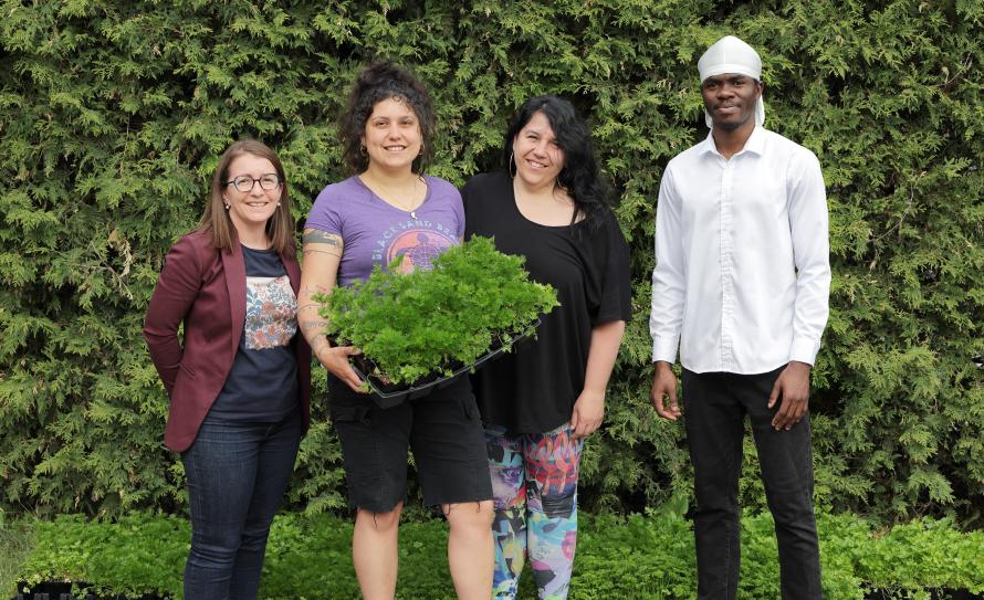 Le Département de gestion et technologies d’entreprises agricole (GTEA) remet pour 2 500$ de plants maraîchers à des organismes communautaires de la région